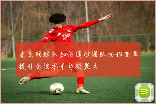 南京网球队如何通过团队协作变革提升竞技水平与凝聚力
